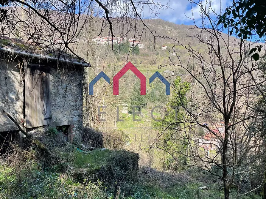 Immagine 14 di Rustico / casale in vendita  a Fabbriche Di Vergemoli