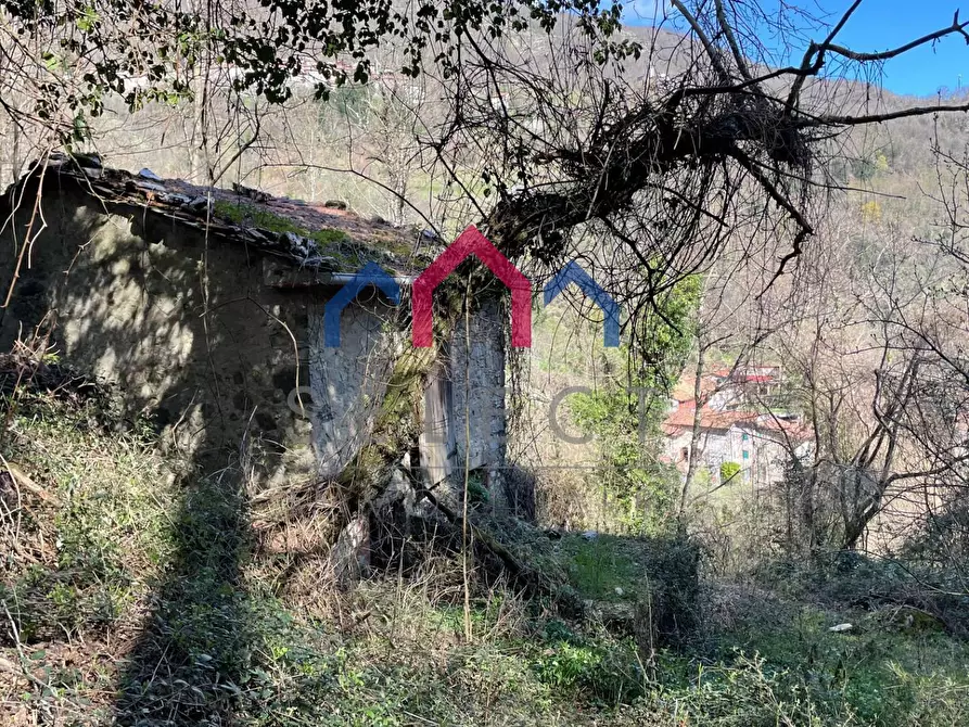 Immagine 15 di Rustico / casale in vendita  a Fabbriche Di Vergemoli