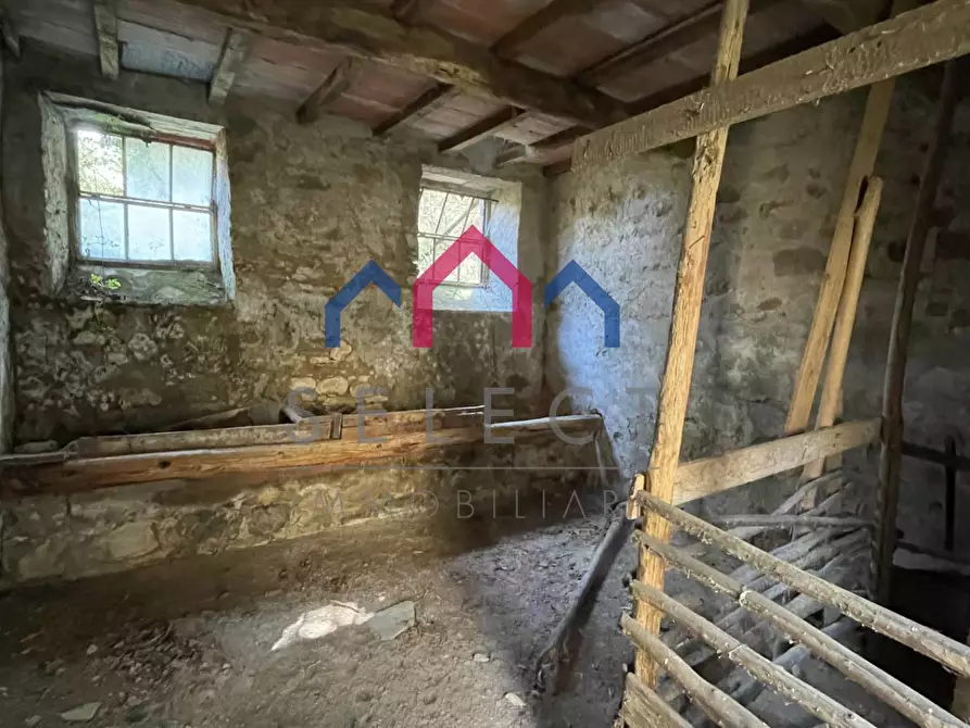Immagine 21 di Rustico / casale in vendita  a Fabbriche Di Vergemoli