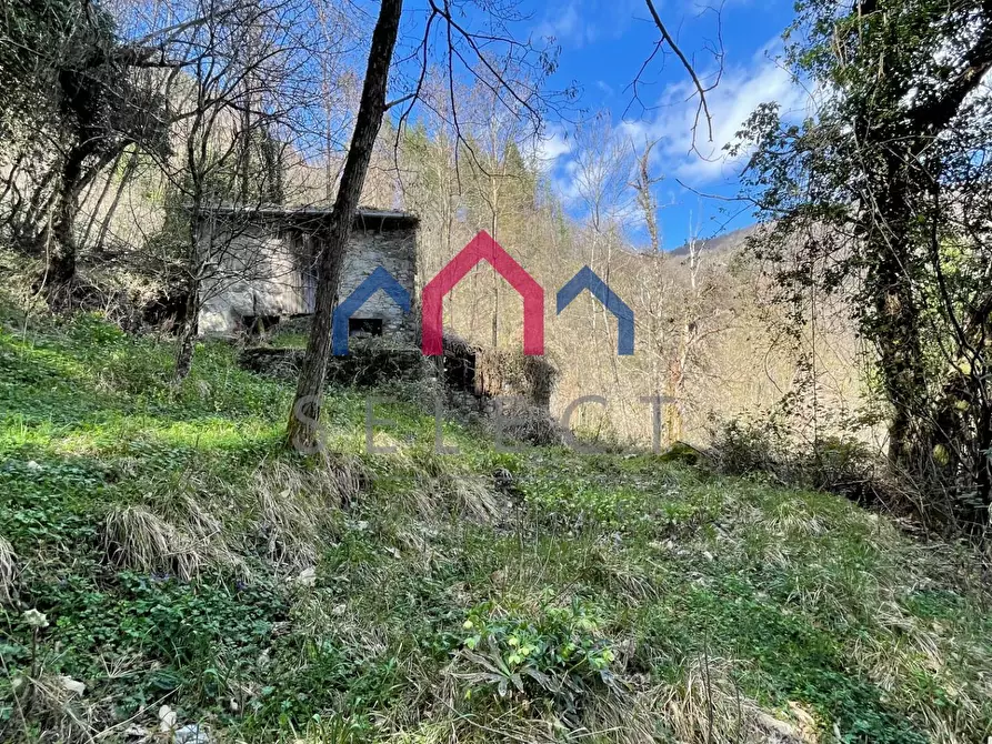 Immagine 9 di Rustico / casale in vendita  a Fabbriche Di Vergemoli