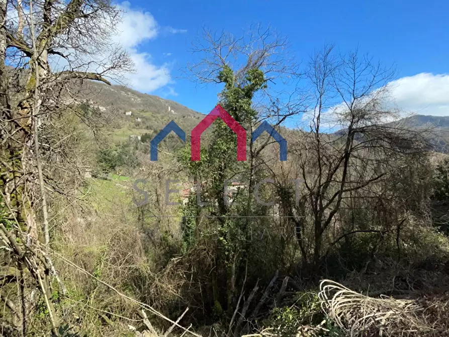 Immagine 31 di Rustico / casale in vendita  a Fabbriche Di Vergemoli