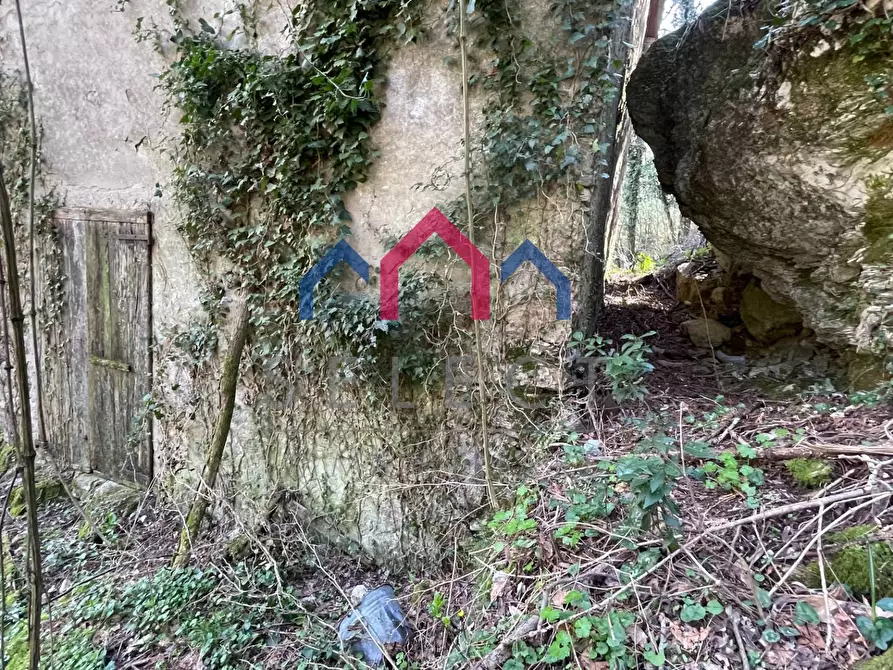 Immagine 19 di Rustico / casale in vendita  a Fabbriche Di Vergemoli