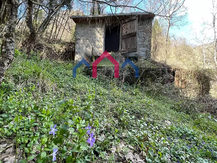 Immagine 7 di Rustico / casale in vendita  a Fabbriche Di Vergemoli