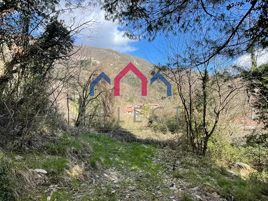 Immagine 10 di Rustico / casale in vendita  a Fabbriche Di Vergemoli