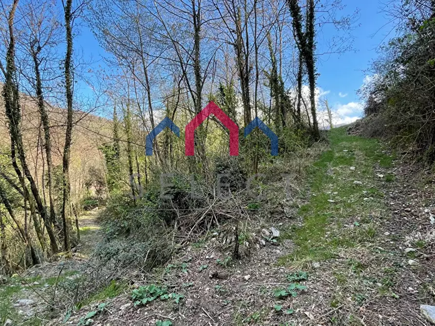 Immagine 4 di Rustico / casale in vendita  a Fabbriche Di Vergemoli