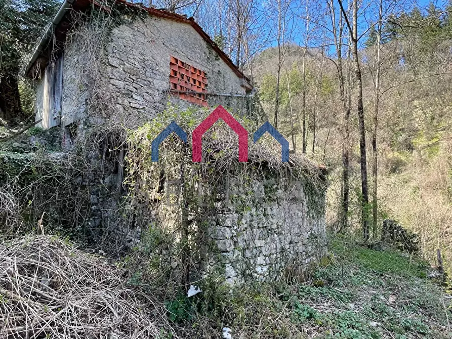 Immagine 13 di Rustico / casale in vendita  a Fabbriche Di Vergemoli