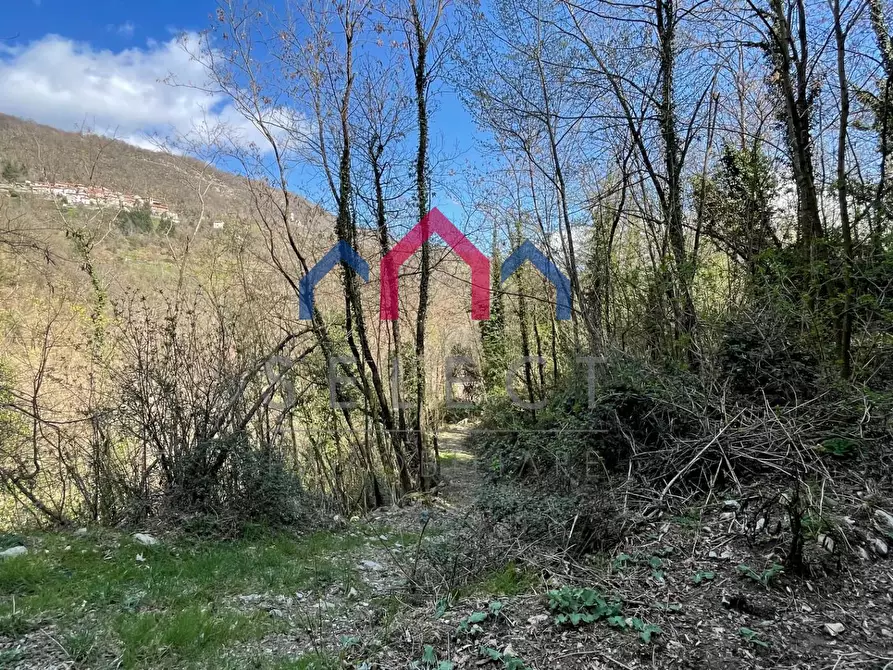 Immagine 5 di Rustico / casale in vendita  a Fabbriche Di Vergemoli