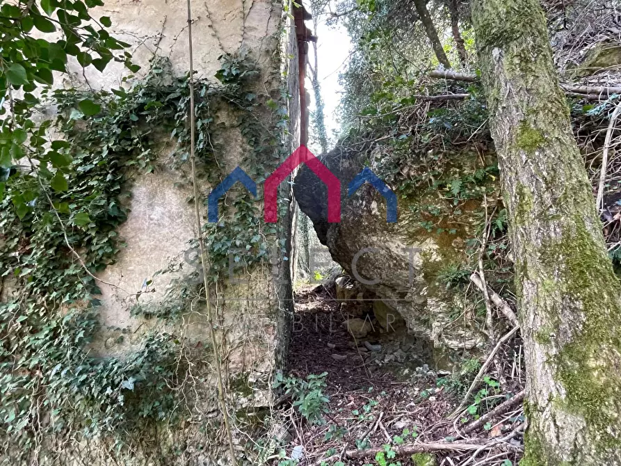 Immagine 18 di Rustico / casale in vendita  a Fabbriche Di Vergemoli