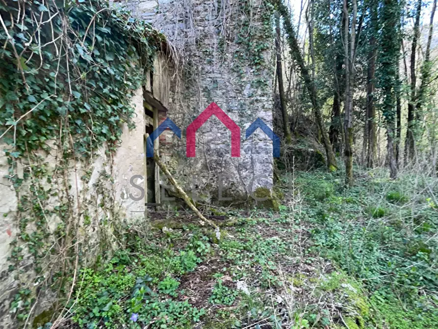 Immagine 17 di Rustico / casale in vendita  a Fabbriche Di Vergemoli