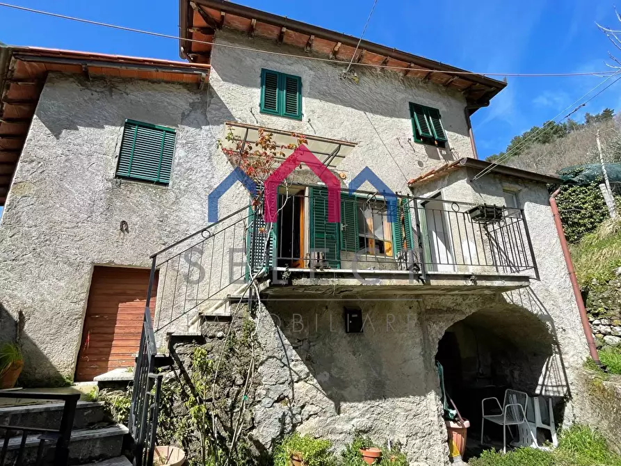 Immagine 18 di Appartamento in vendita  a Bagni Di Lucca