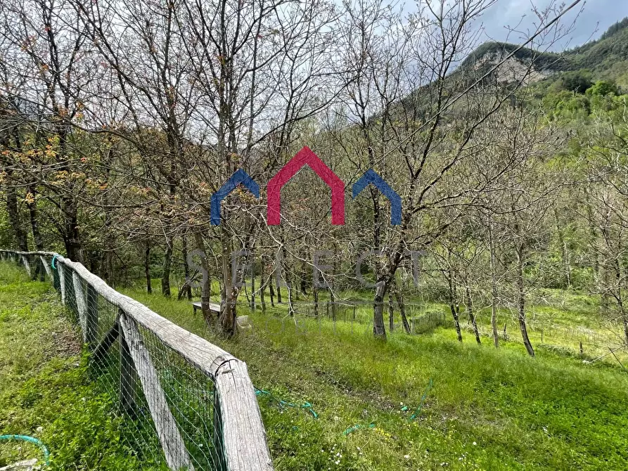 Immagine 45 di Agriturismo in vendita  a Gallicano