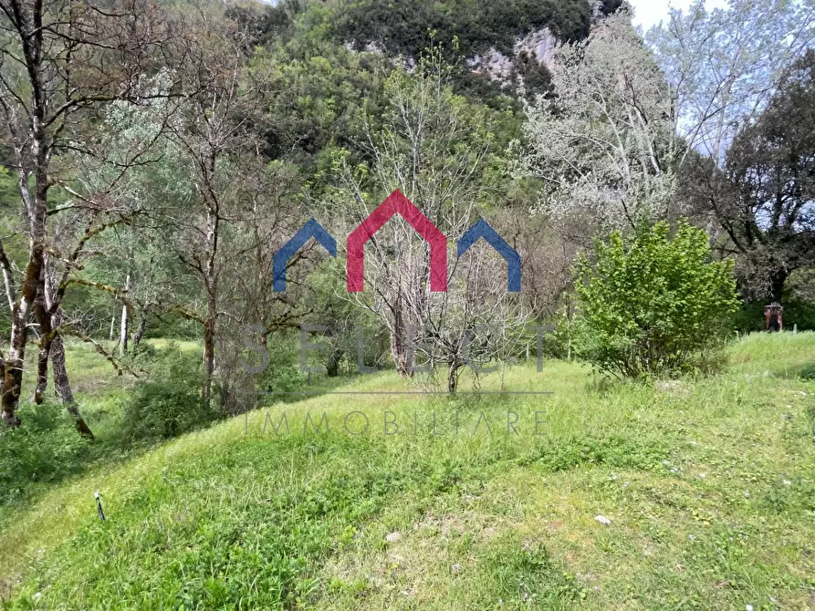 Immagine 70 di Agriturismo in vendita  a Gallicano