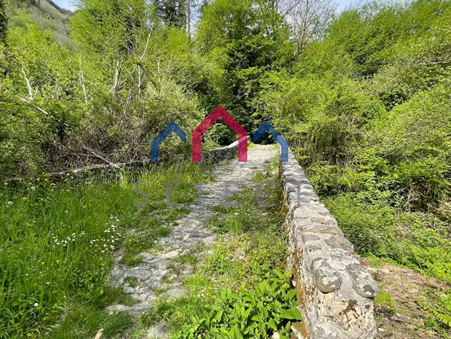 Immagine 72 di Agriturismo in vendita  a Gallicano