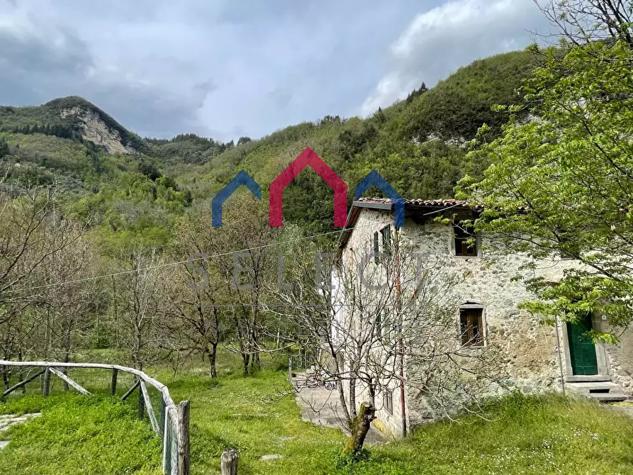 Immagine 37 di Agriturismo in vendita  a Gallicano