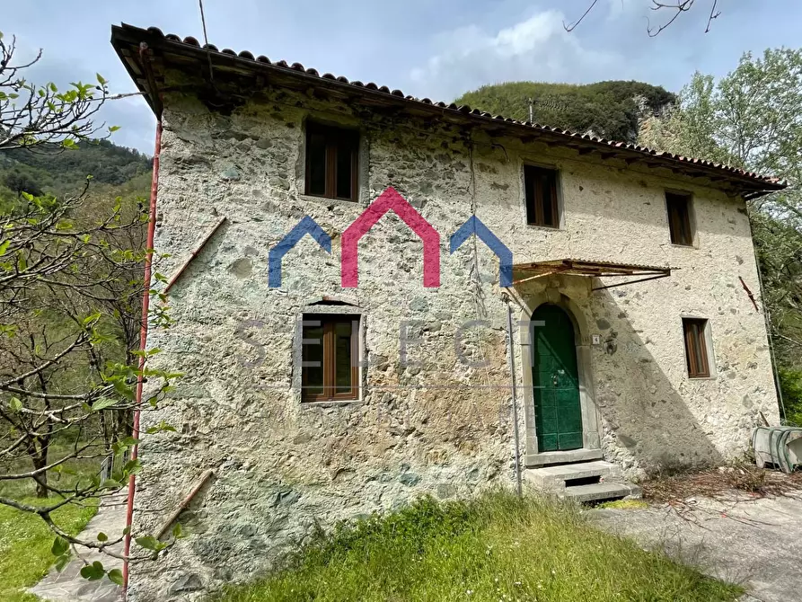 Immagine 11 di Agriturismo in vendita  a Gallicano