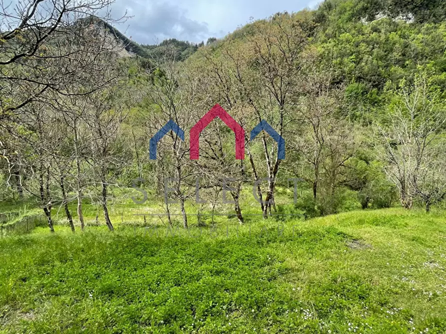 Immagine 15 di Agriturismo in vendita  a Gallicano