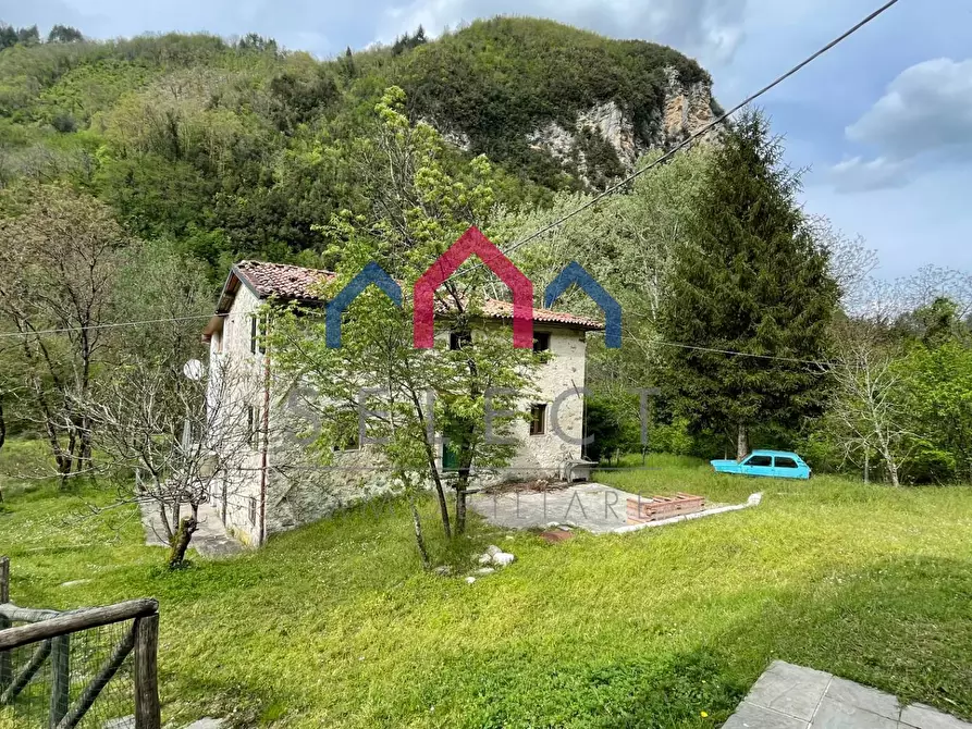 Immagine 49 di Agriturismo in vendita  a Gallicano