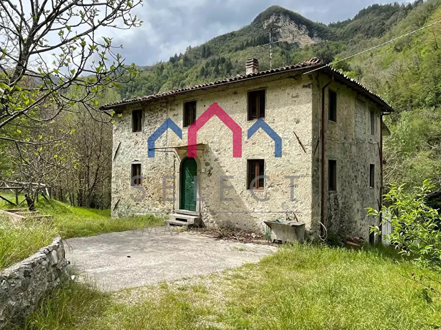 Immagine 5 di Agriturismo in vendita  a Gallicano