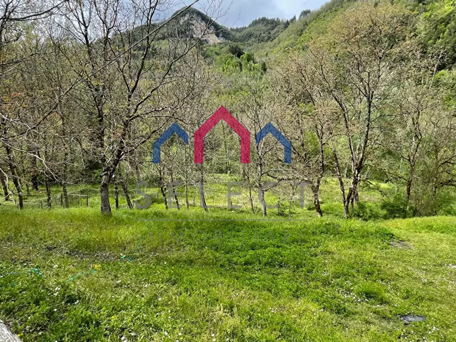 Immagine 44 di Agriturismo in vendita  a Gallicano