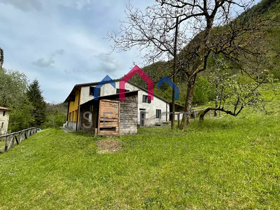 Immagine 21 di Agriturismo in vendita  a Gallicano