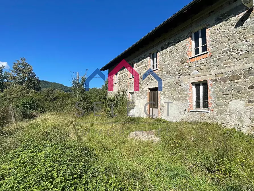 Immagine 54 di Rustico / casale in vendita  a Minucciano