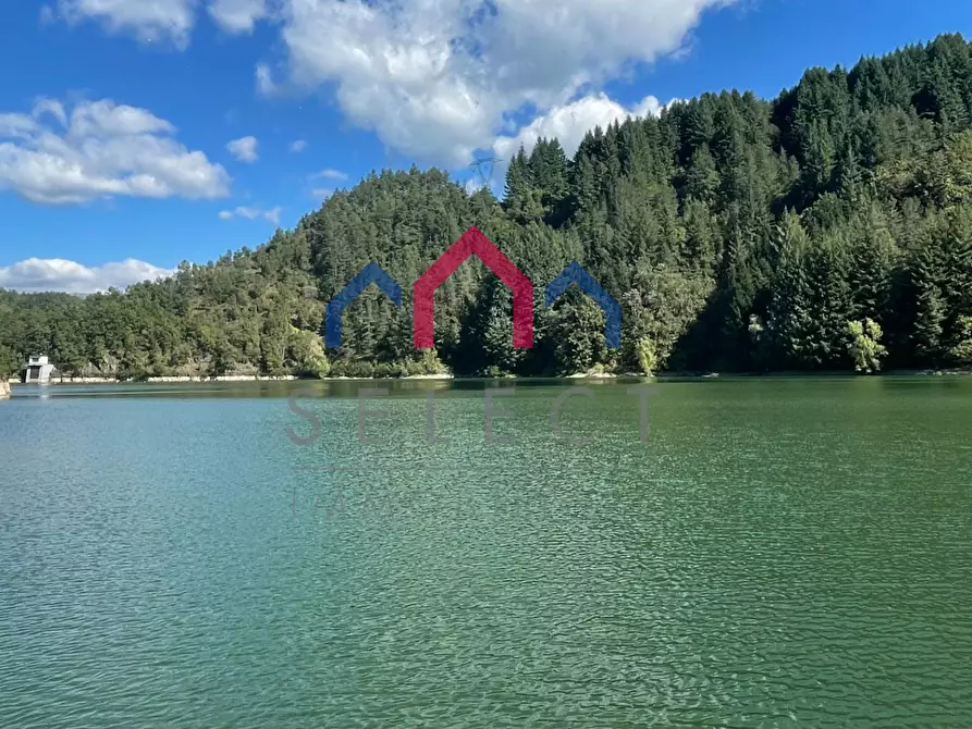 Immagine 66 di Rustico / casale in vendita  a Minucciano