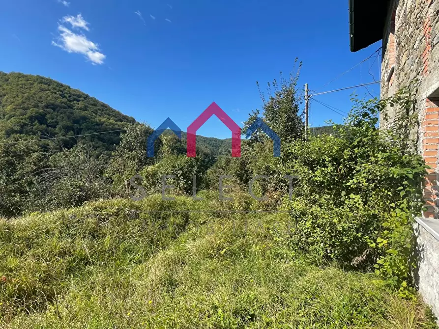 Immagine 44 di Rustico / casale in vendita  a Minucciano