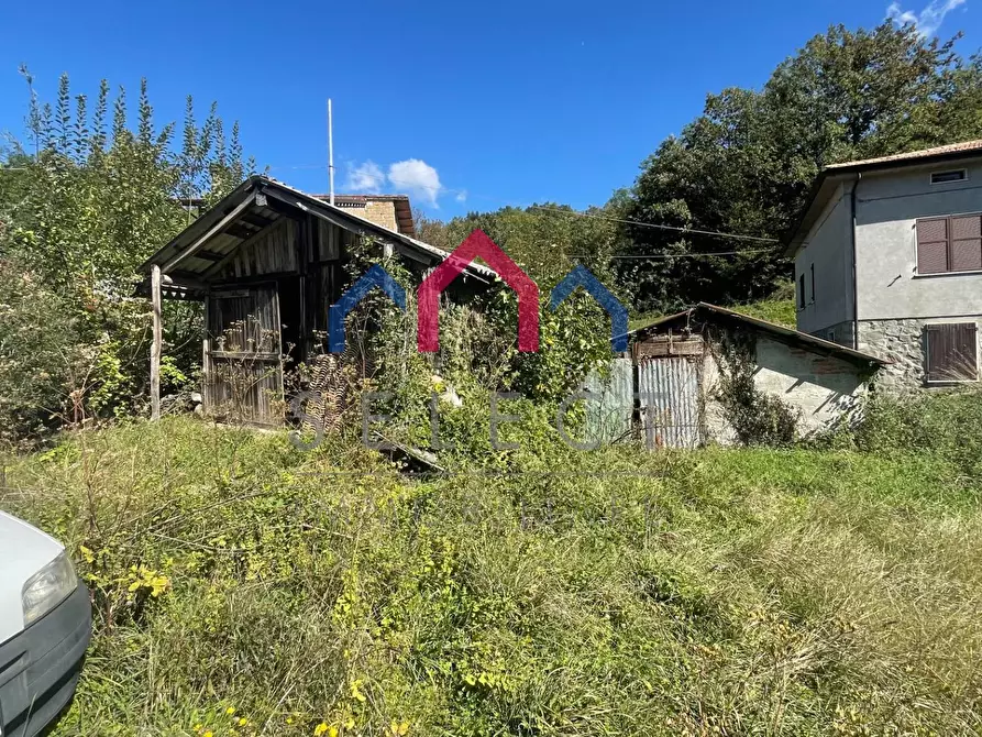 Immagine 11 di Rustico / casale in vendita  a Minucciano