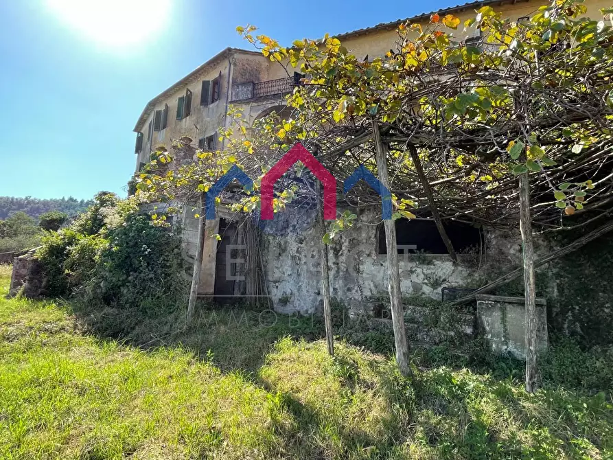 Immagine 86 di Villa in vendita  a Pescaglia