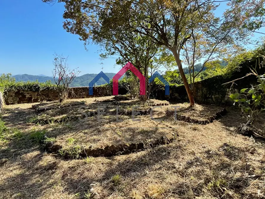 Immagine 100 di Villa in vendita  a Pescaglia