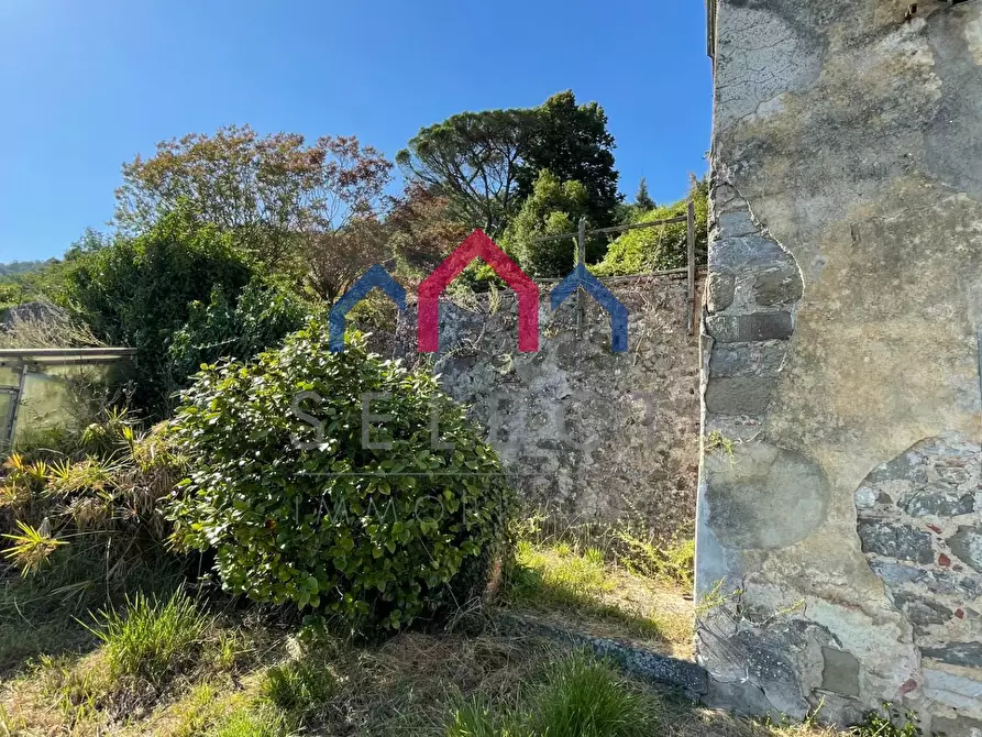 Immagine 94 di Villa in vendita  a Pescaglia