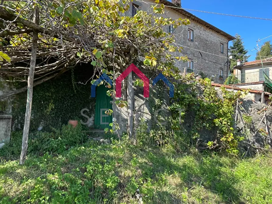 Immagine 85 di Villa in vendita  a Pescaglia