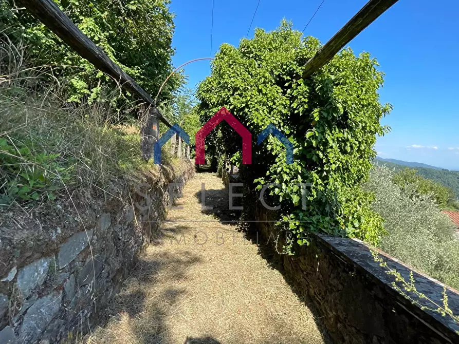 Immagine 105 di Villa in vendita  a Pescaglia