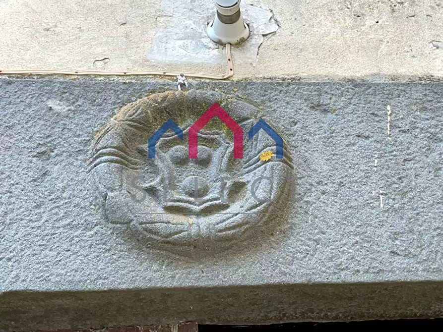 Immagine 3 di Terratetto in vendita  a Borgo A Mozzano