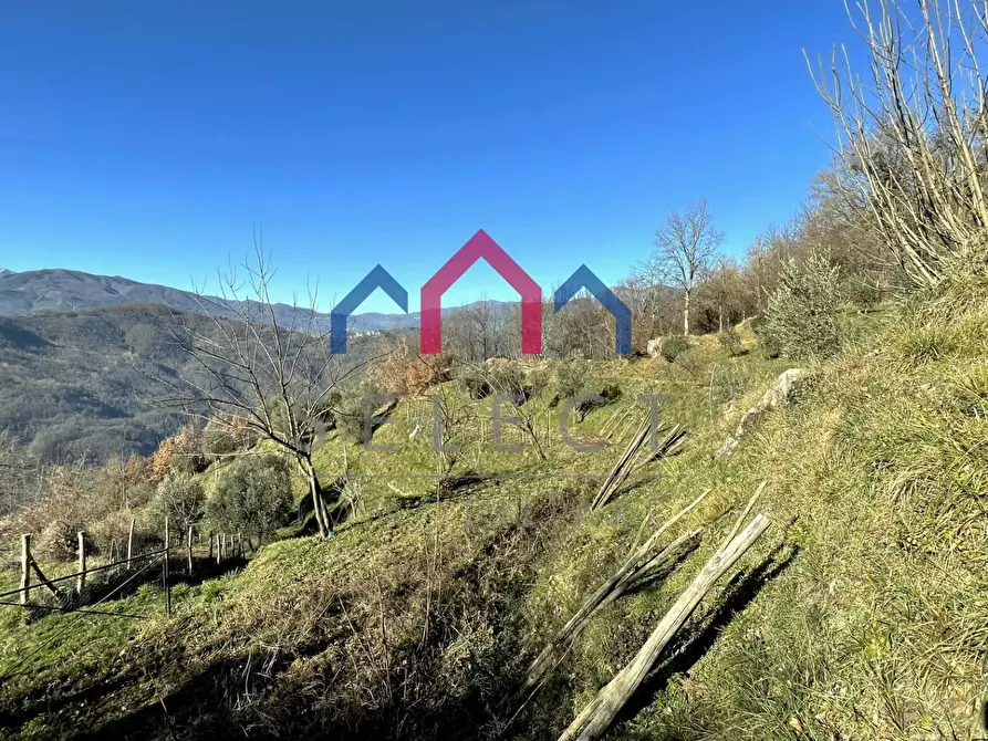 Immagine 46 di Casa indipendente in vendita  a Fosciandora