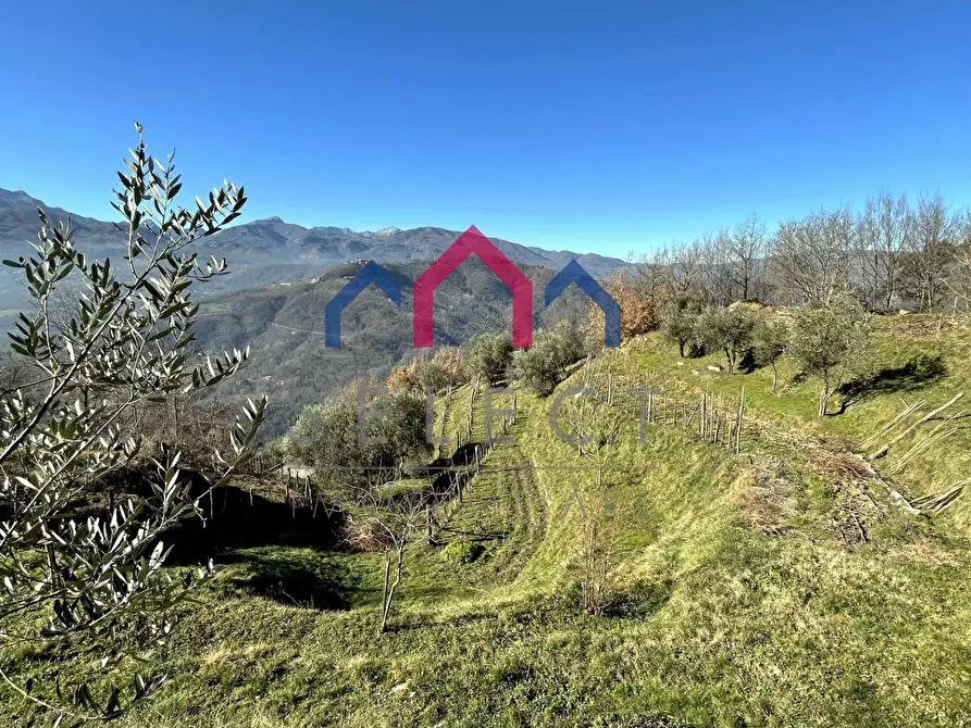 Immagine 48 di Casa indipendente in vendita  a Fosciandora