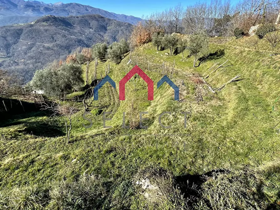 Immagine 49 di Casa indipendente in vendita  a Fosciandora