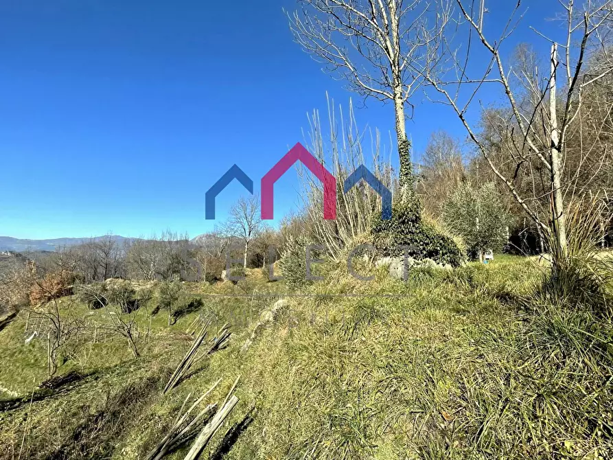 Immagine 44 di Casa indipendente in vendita  a Fosciandora