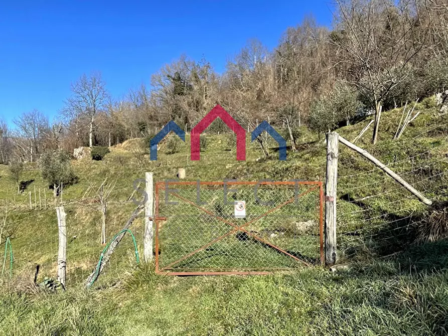 Immagine 42 di Casa indipendente in vendita  a Fosciandora
