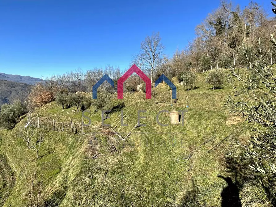 Immagine 50 di Casa indipendente in vendita  a Fosciandora