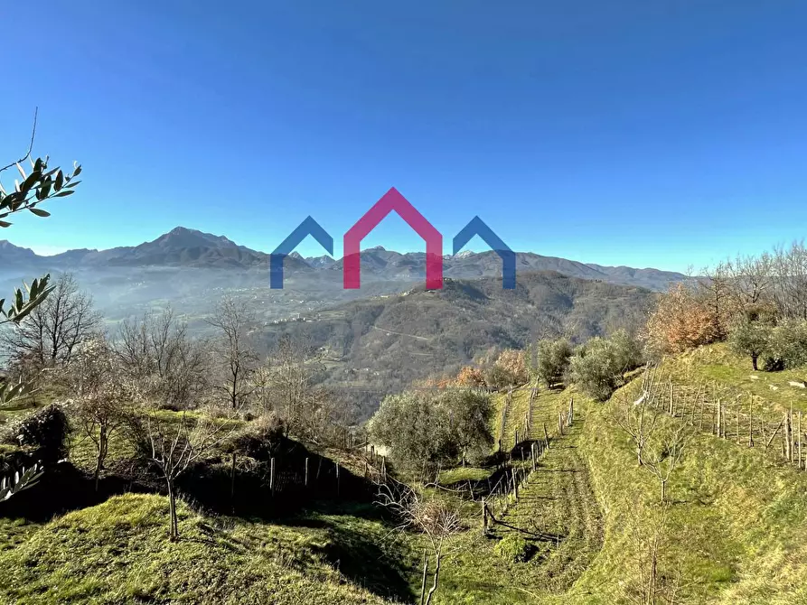 Immagine 51 di Casa indipendente in vendita  a Fosciandora