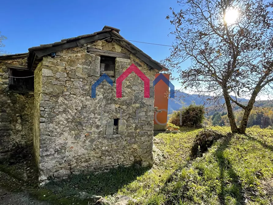 Immagine 6 di Rustico / casale in vendita  a Borgo A Mozzano