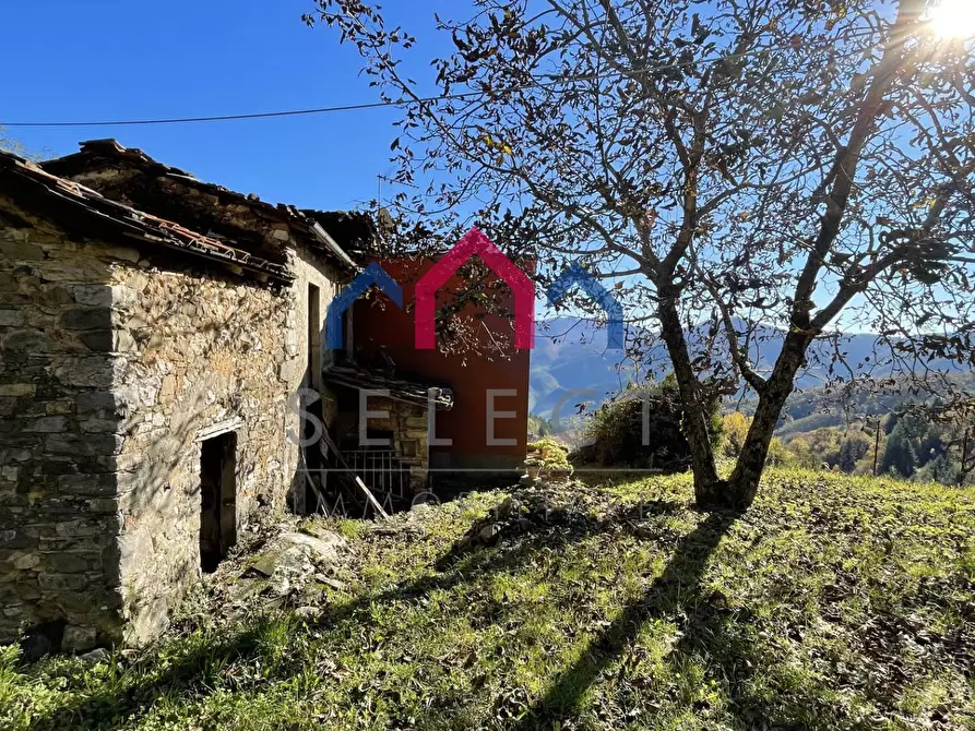 Immagine 19 di Rustico / casale in vendita  a Borgo A Mozzano