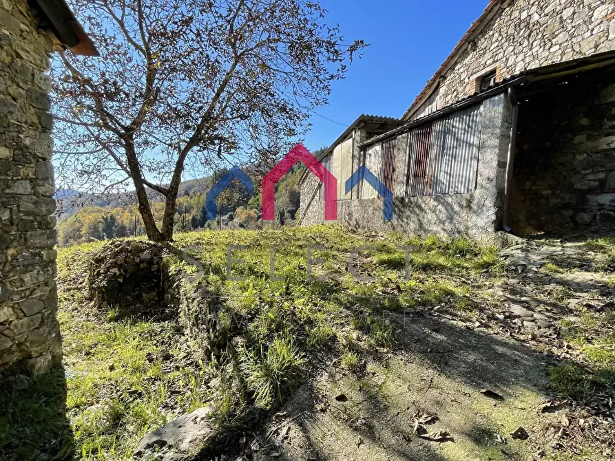 Immagine 10 di Rustico / casale in vendita  a Borgo A Mozzano