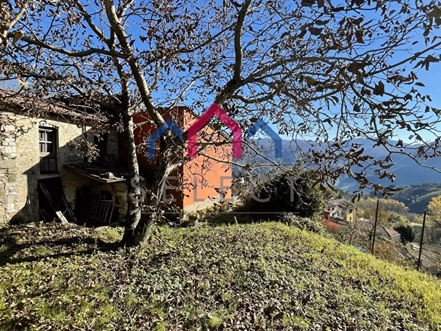 Immagine 33 di Rustico / casale in vendita  a Borgo A Mozzano