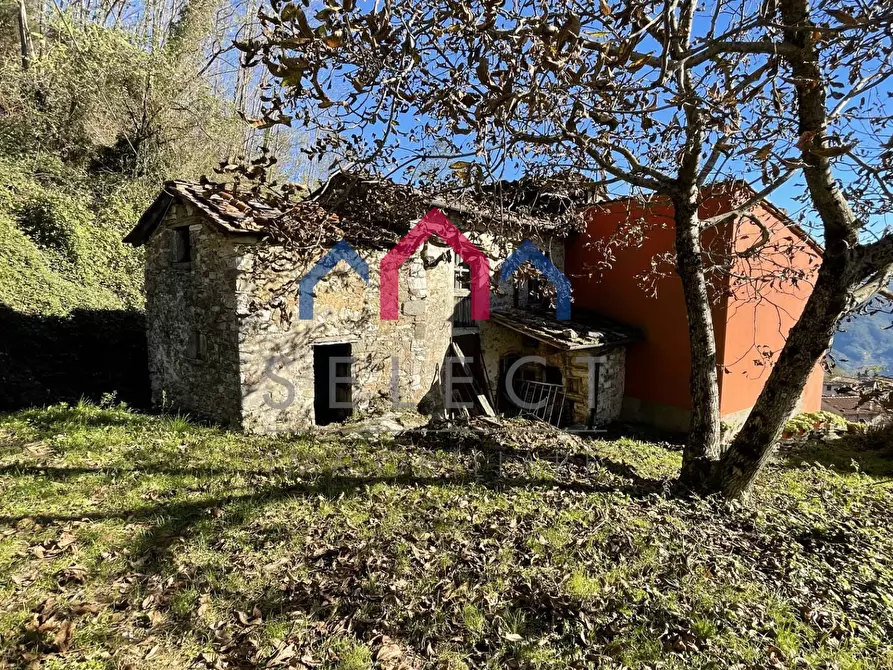 Immagine 20 di Rustico / casale in vendita  a Borgo A Mozzano
