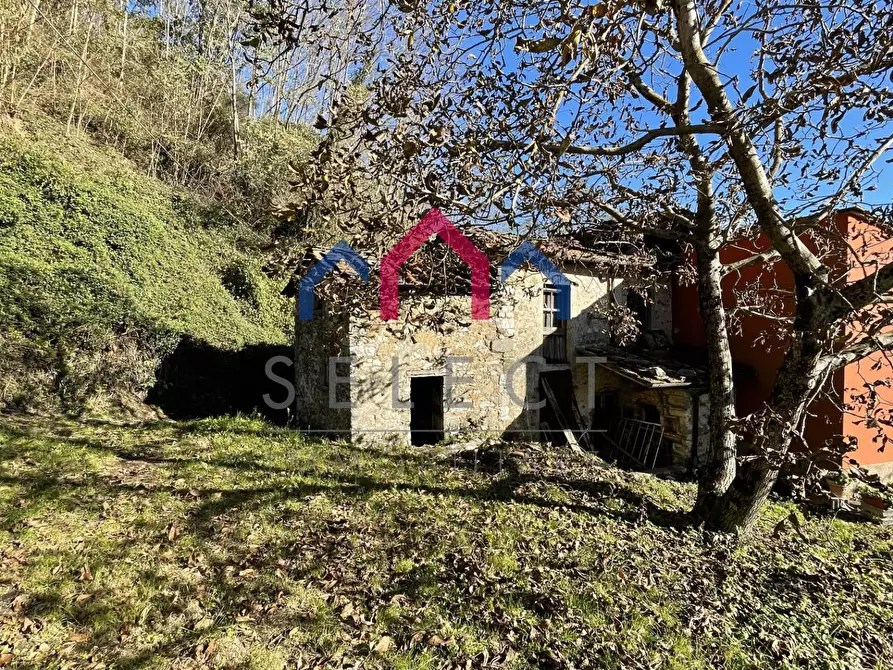 Immagine 24 di Rustico / casale in vendita  a Borgo A Mozzano