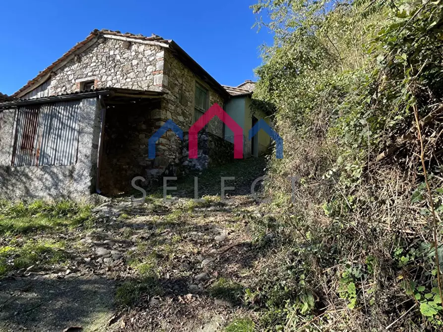 Immagine 9 di Rustico / casale in vendita  a Borgo A Mozzano