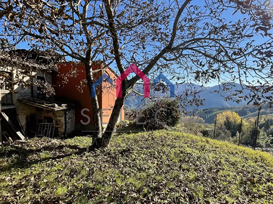 Immagine 42 di Rustico / casale in vendita  a Borgo A Mozzano