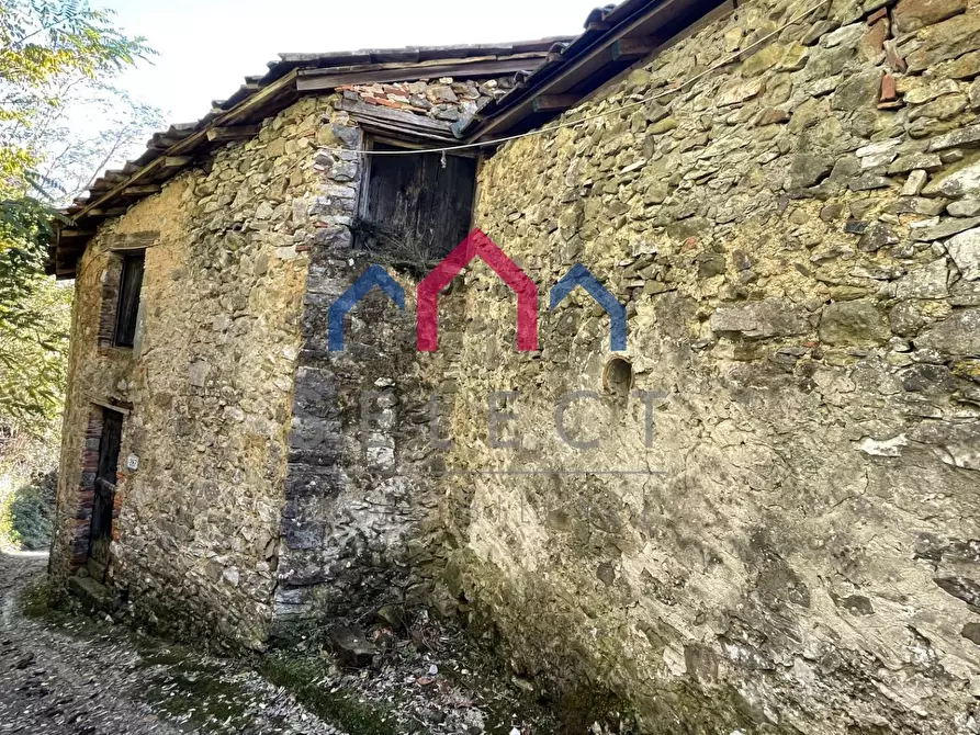 Immagine 4 di Rustico / casale in vendita  a Borgo A Mozzano